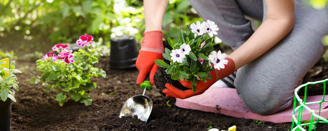 Tuinieren Van januari tot en met december tuinieren: tips voor het hele jaar buiten bezig