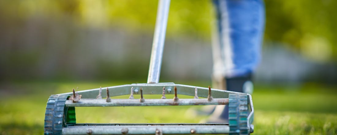 Verticuteren Groen, slim en geautomatiseerd: de revolutie in tuinieren