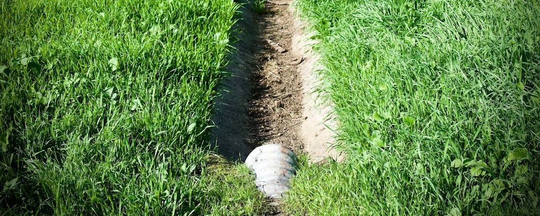 Tuin met drainage Het belang van goede tuindrainage: zo voorkom je wateroverlast
