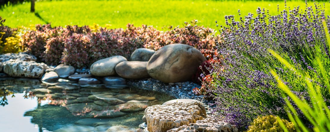 Vijver Vijver in de tuin aanleggen: wat komt er allemaal bij kijken?
