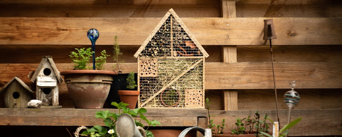 Insectenhuisje DIY: zo bouw je zelf een insectenhuisje