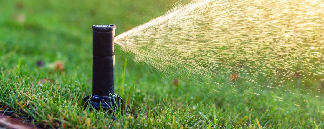 Tuin automatisch sproeien Droogte de baas: zo overleeft je tuin een droge zomer