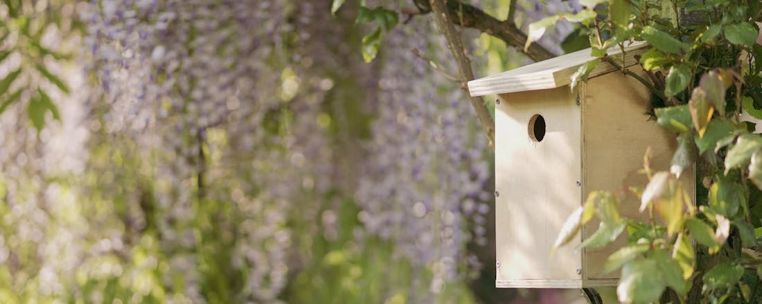 Zelfgemaakt vogelhuis DIY: maak een vogelhuisje voor de tuin in 7 stappen