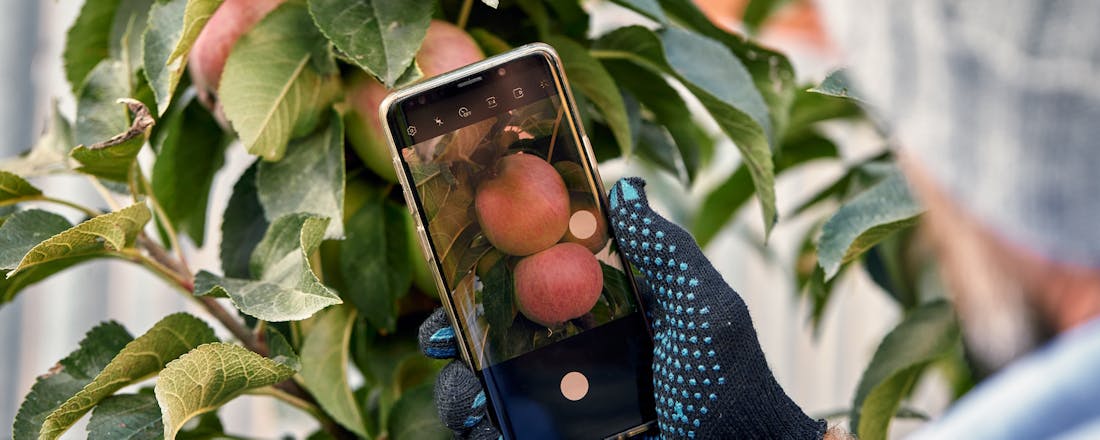 Apps gebruiken bij het tuinieren Tuinieren 2.0: gratis tuinapps voor een mooie (moes)tuin