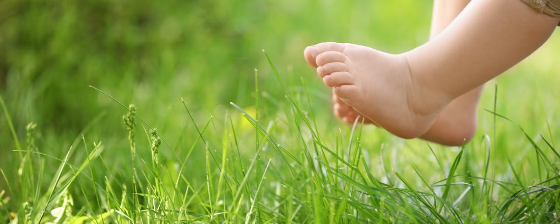 Kindervoetje boven het gras Van speelgazon tot schaduwtuin: zo kies je de juiste grassoort