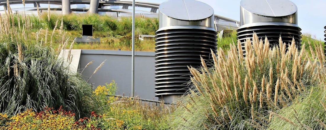 Close-up van groen dak op gebouw Wat kun je zelf doen tegen hittestress in je woonomgeving?
