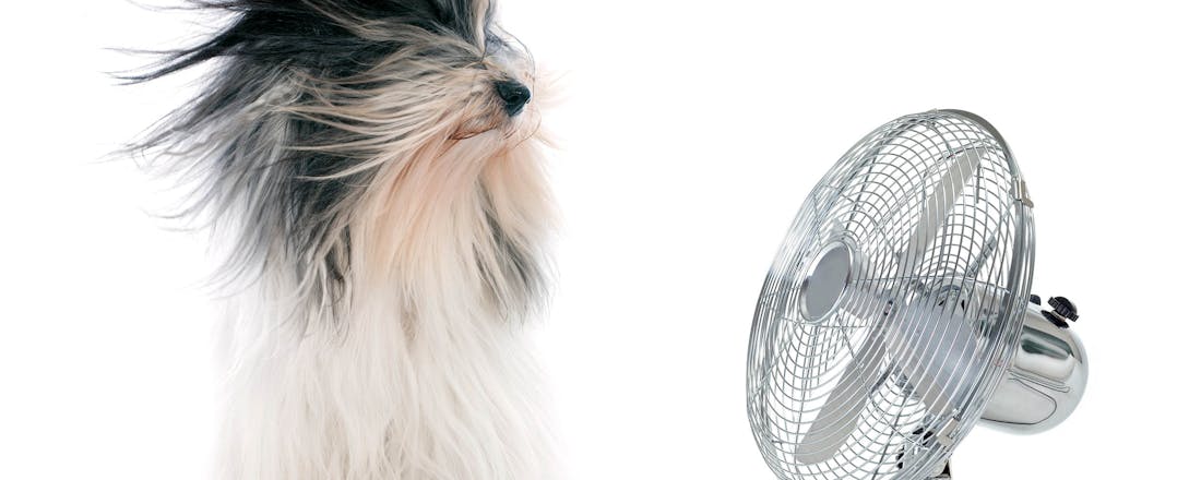 Ventilator Laat maar draaien: houd het koel met een ventilator