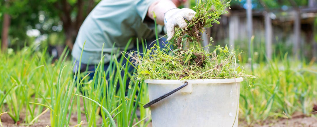 Man tuiniert op duurzame wijze Groene alternatieven om onkruid te bestrijden
