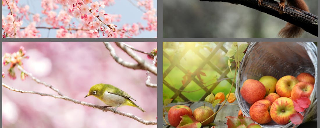 Darktable: bewerk je foto's met hét gratis Lightroom-alternatief