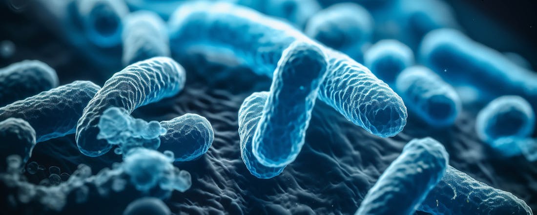 Legionella 15 vragen over legionella