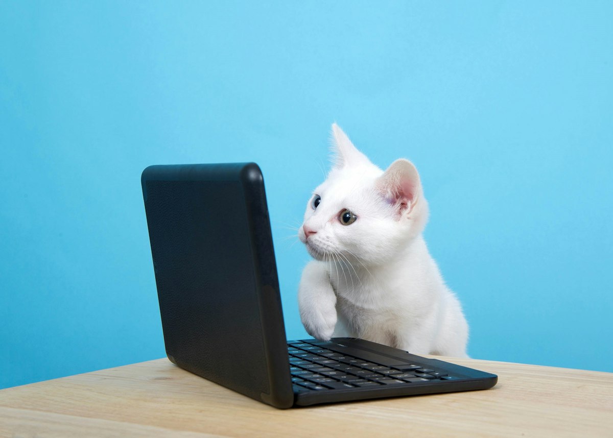 Kat Top Computer Kat Die Computer Repareert PETKIT Purobot Ultra With Camera Self