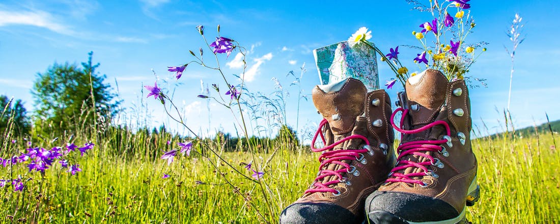 Wandelschoenen in een weide Lekker lopen? Zo houd je je (berg)wandelschoenen in topconditie
