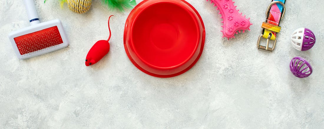 Even geen zin om je huisdier te verzorgen of vermaken? Dan moet je deze gadgets hebben!