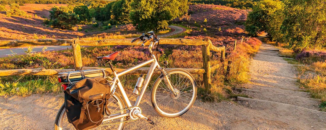 Fietsen op de Veluwe Fietsen in Nederland? 15.000 kilometer door de natuur!