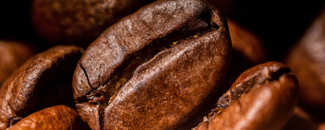 Geroosterde koffiebonen Verschillende soorten koffiebonen: welke kies je?