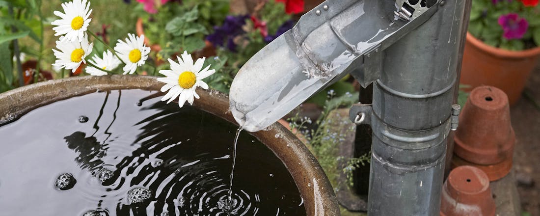 Regenton met bloemen op de achtergrond Waarom iedereen een regenton in de tuin zou moeten hebben