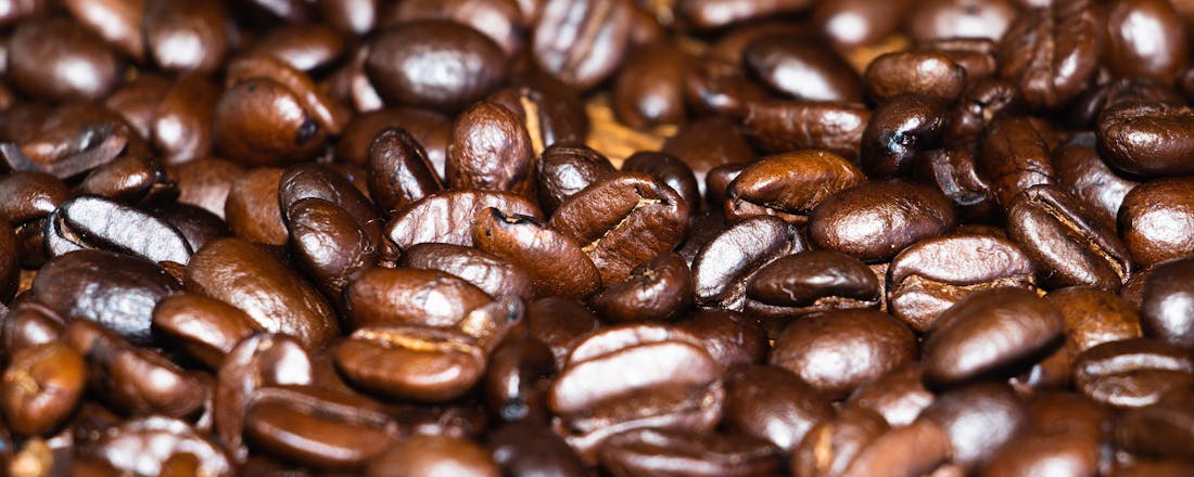 Koffiebonen Vette koffiebonen: wat zijn dat en wat doen die met mijn koffie?