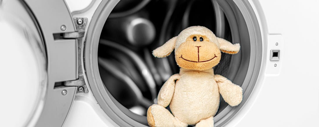 Schaap in wasmachine Best gelezen in 2023: Wassen en drogen