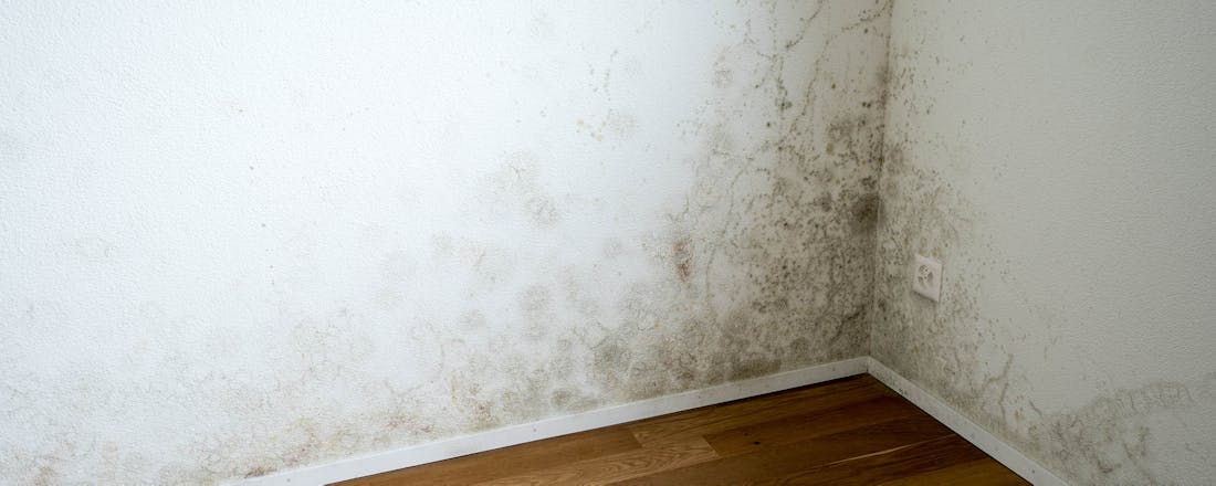 Schimmel in huis Schimmel in huis: hierdoor komt het en dit kun je ertegen doen
