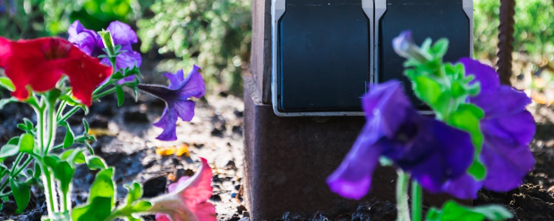 Stopcontact in de tuin tussen de planten Stroom in je tuin aanleggen: zo doe je dat