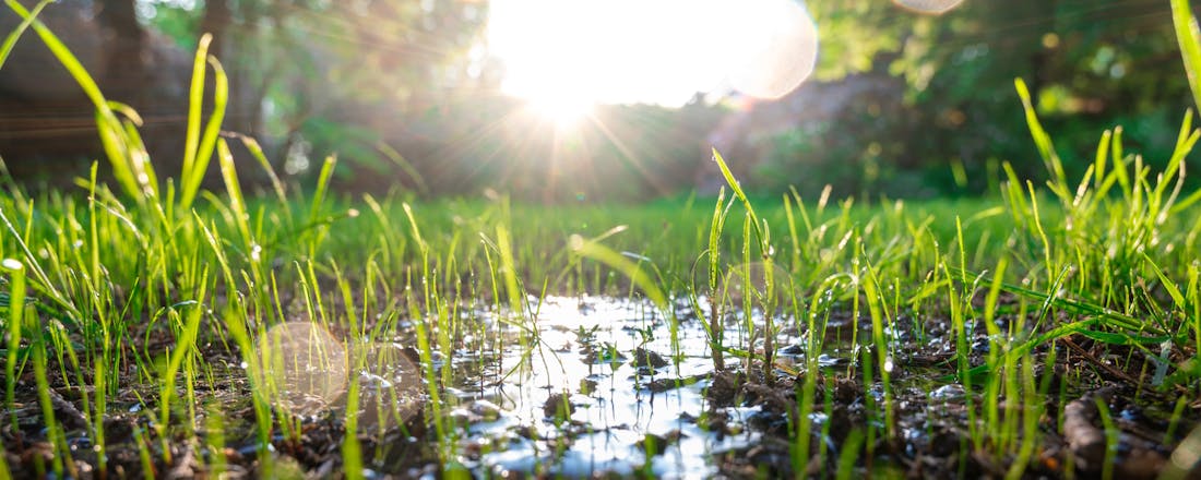 Regen blijft staan in het gras Voorkom wateroverlast met infiltratiekratten