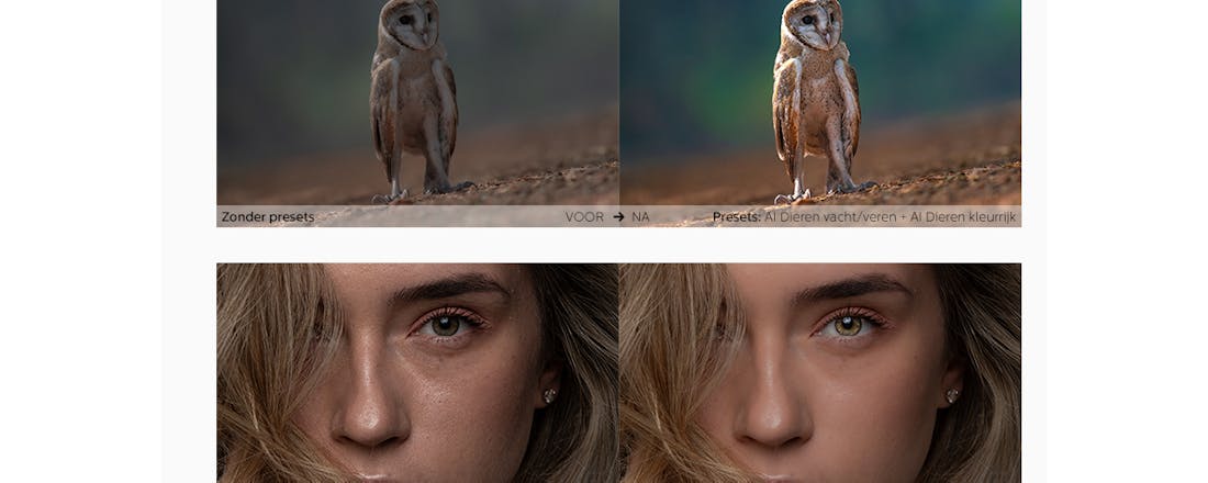 AI presets 📸 Foto’s bewerken met AI? Wij hebben 15 gratis presets voor je!