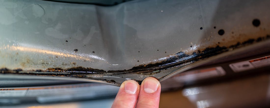 Vetluis Vetluis in je wasmachine? Zo kom je er vanaf!