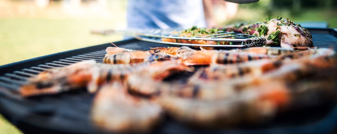 Grillen op de BBQ Elektrisch barbecueën: de slimme keuze voor snel en smakelijk grillen