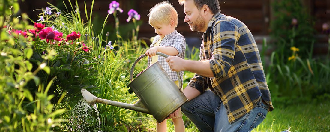 Bloemen water geven Tuinonderhoud in juli: je to do’s voor langere bloei en groei