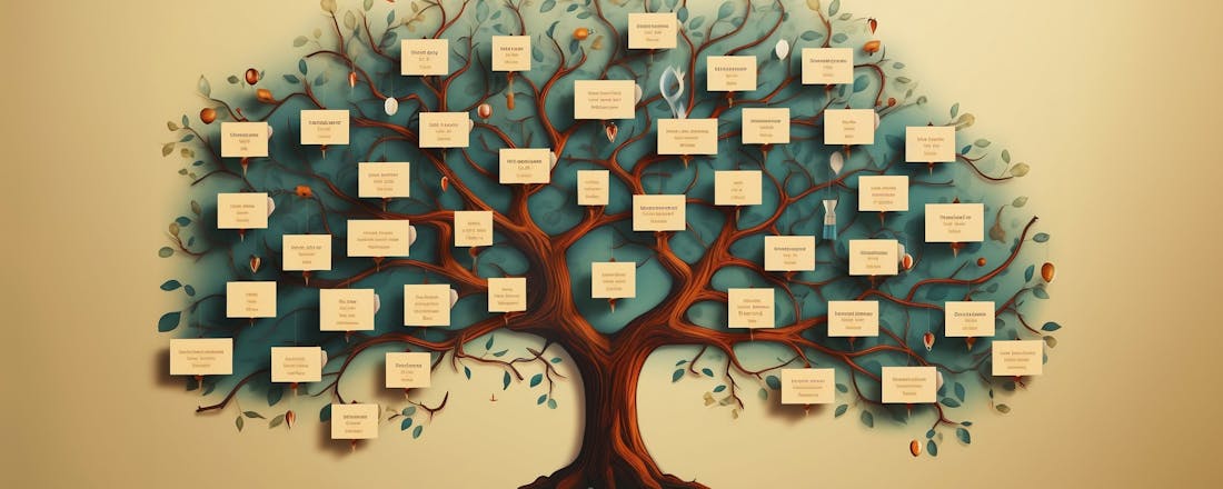 Boompje opzetten? MyHeritage maakt familiebanden inzichtelijk