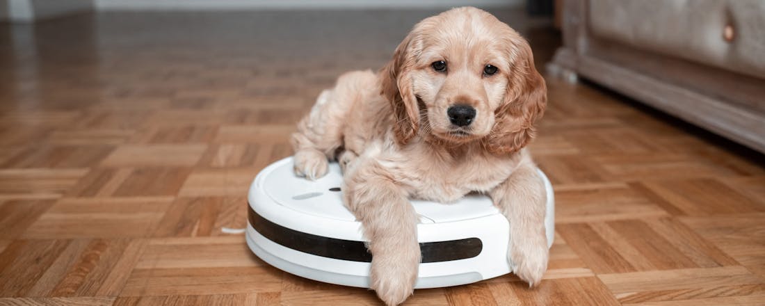 Hondje zit op robotstofzuiger 🐶Huisdieren? Dit is de beste robotstofzuiger😺