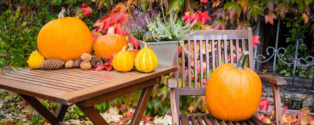 Meubilair in herfsttuin 🍂 Zo maak je je tuinmeubilair winterklaar (dit is hét moment!)