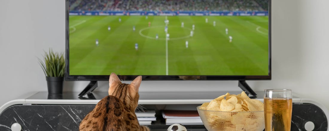 Kat voor televisie 5 tips voor … de beste plek voor je tv (én het beste geluid)