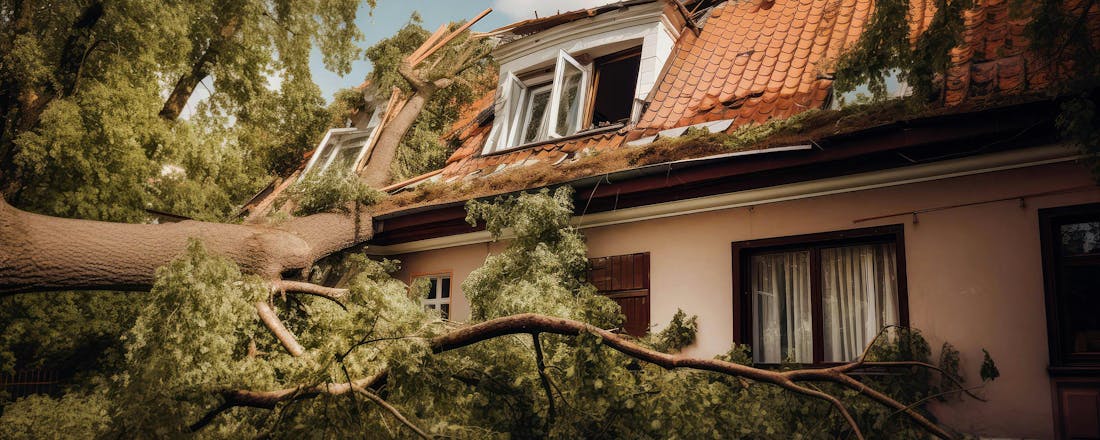 Na storm Benjamin: zo controleer je je huis en meld je stormschade