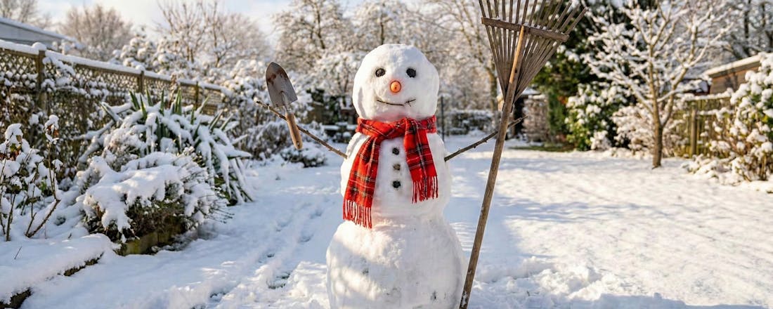 ❄️ Ook in december kun je lekker tuinieren: van snoeien tot een tweede leven voor je kerstboom