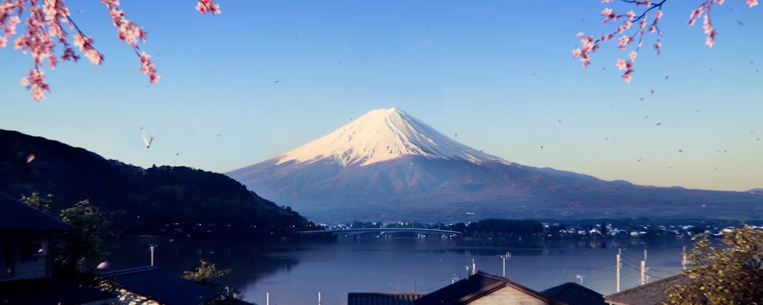 Forza Horizon 6 De Forza Horizon 6-releasedatum is mogelijk gelekt